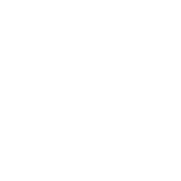 Local First Foundation